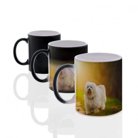 Печать на кружке "Хамелеон"